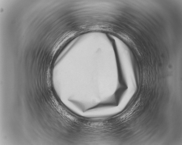 X0000054450798200508270037