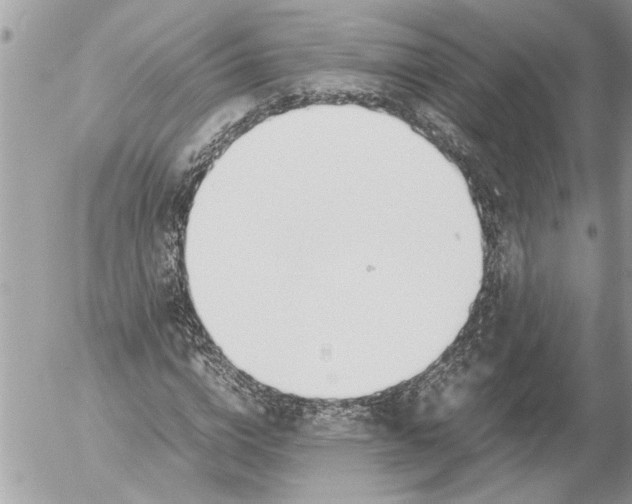 X0000054450824200508270036
