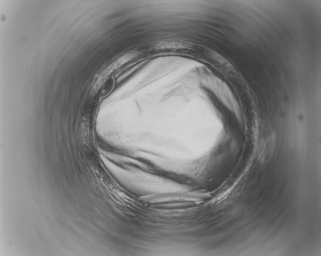 X0000054450825200508270036