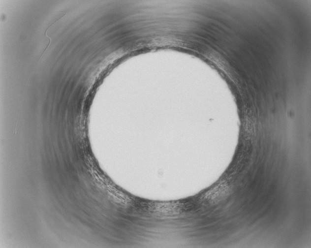 X0000054450832200508270036