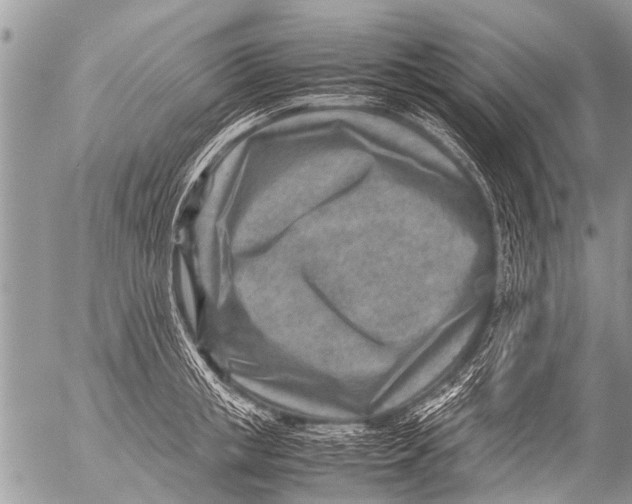 X0000054450853200508270037