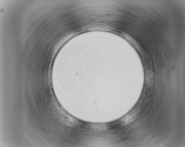 X0000054450856200508270037