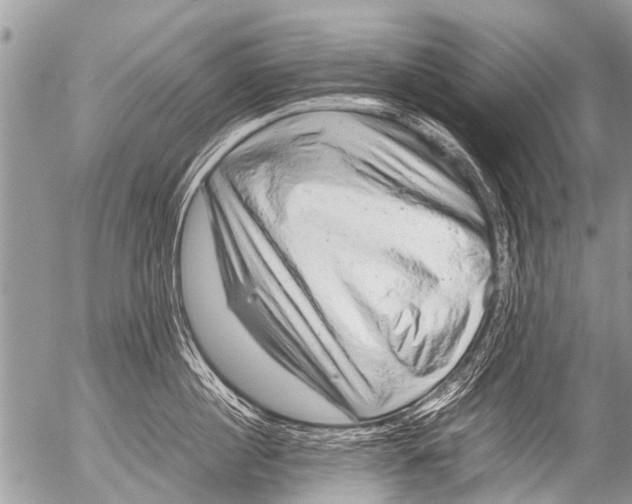 X0000054450860200508270037