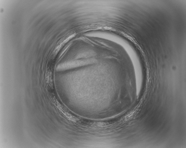 X0000054450881200508270036