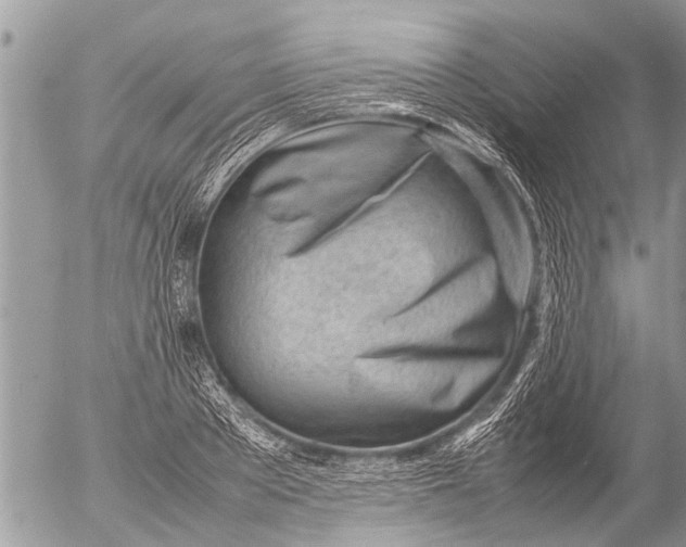 X0000054450889200508270036