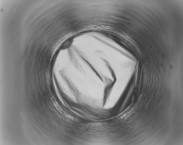 X0000054450896200508270035