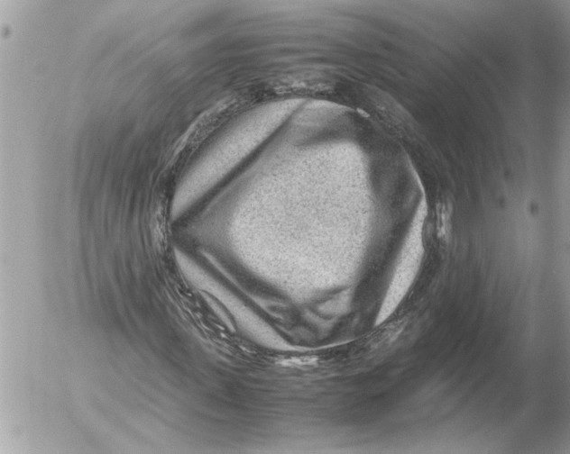 X0000054450915200508270034
