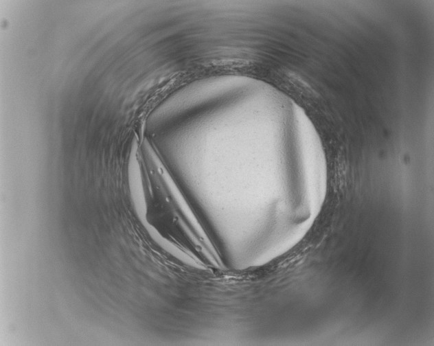 X0000054450917200508270035