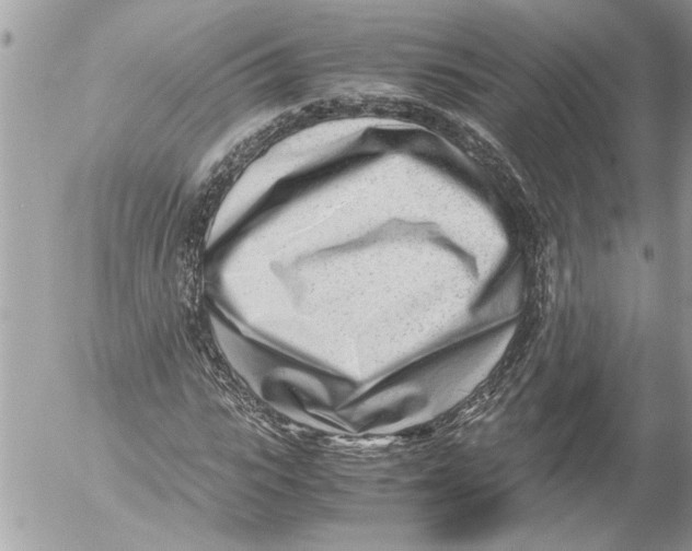 X0000054450919200508270035