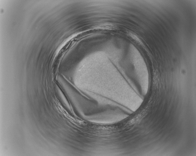 X0000054450923200508270035