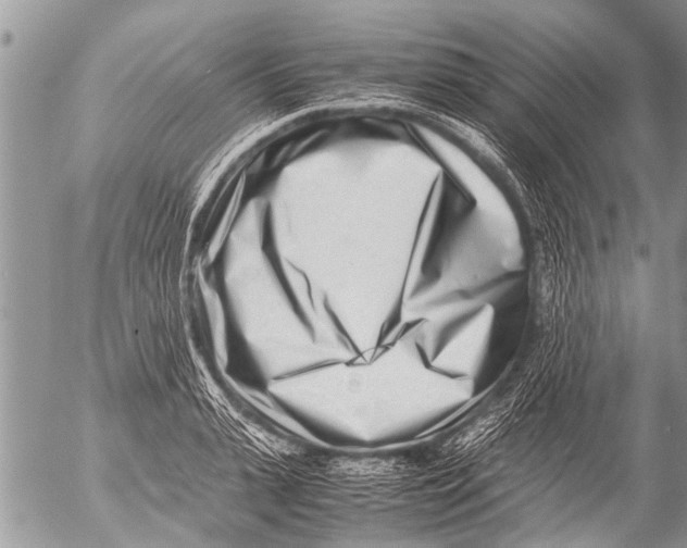 X0000054450943200508270035