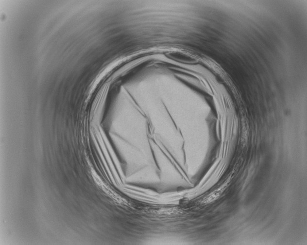 X0000054450958200508270035