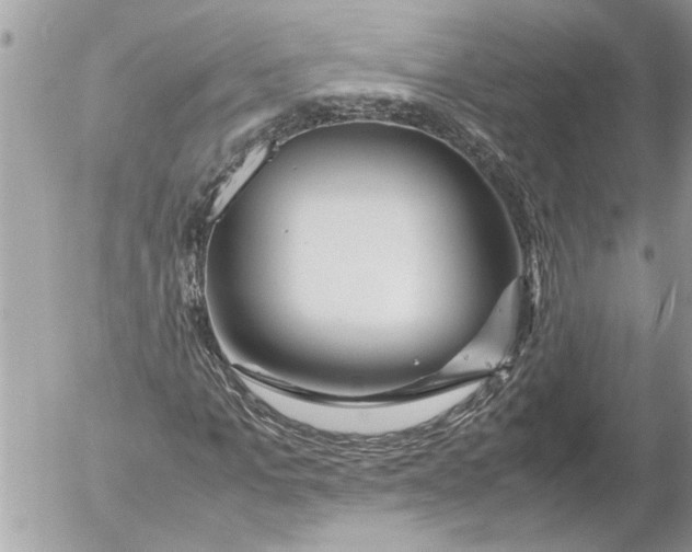 X0000054450965200508270034