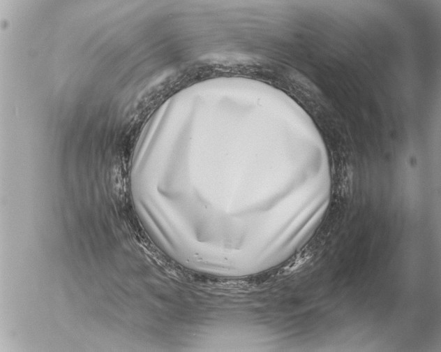 X0000054450966200508270034