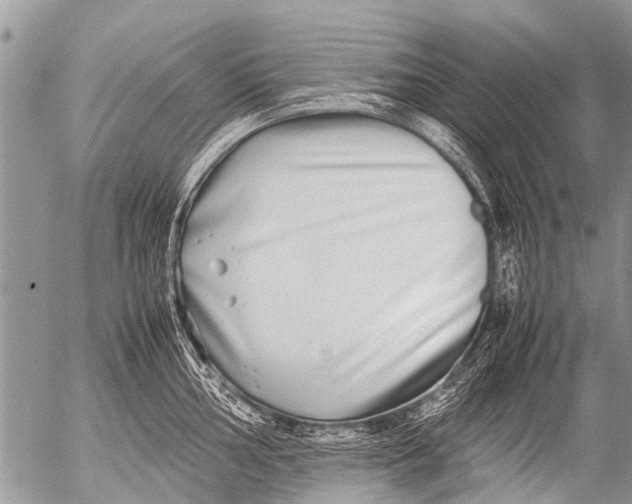 X0000054451002200508270034