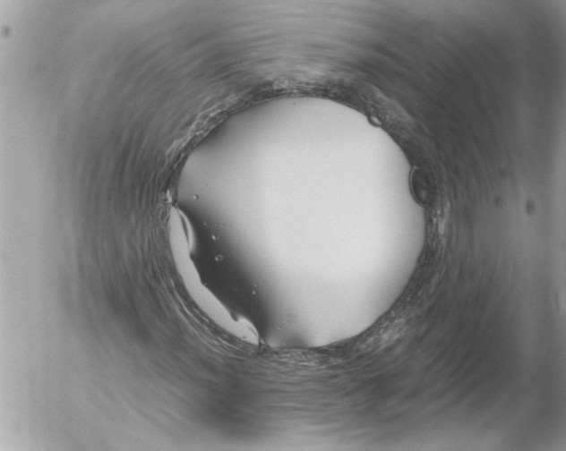 X0000054451012200508270033