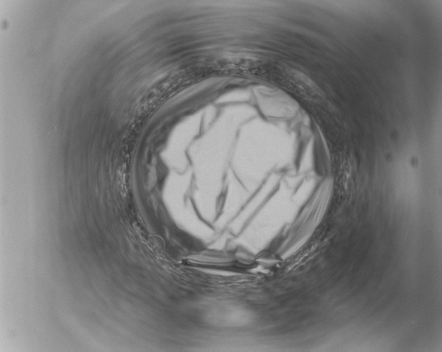 X0000054451013200508270033