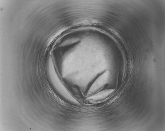 X0000054451018200508270033