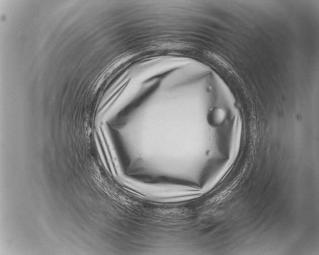 X0000054451025200508270033