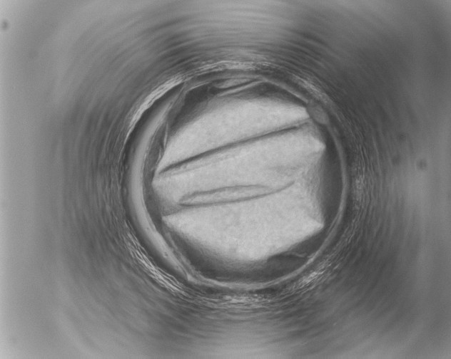 X0000054451026200508270033