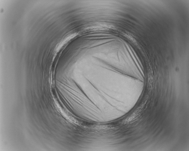 X0000054451034200508270033