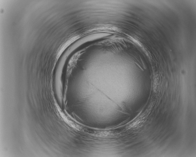 X0000054451042200508270033