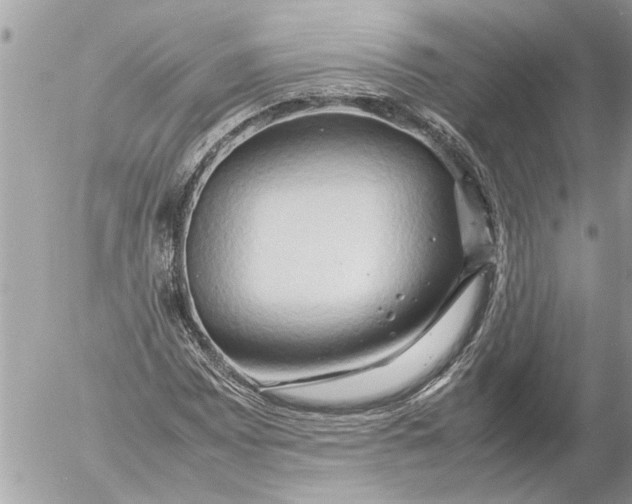 X0000054451065200508270033