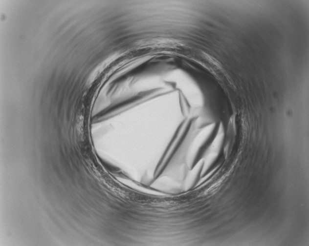 X0000054451066200508270033