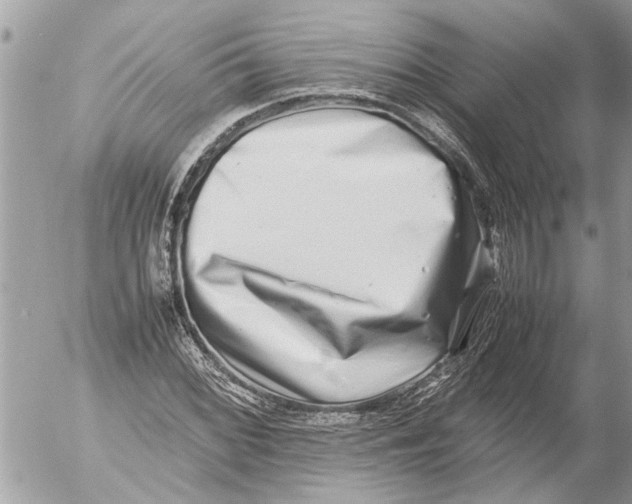 X0000054451068200508270033