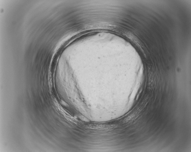 X0000054451072200508270033