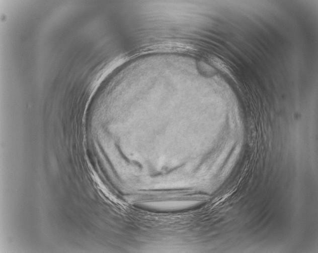 X0000054451087200508270032