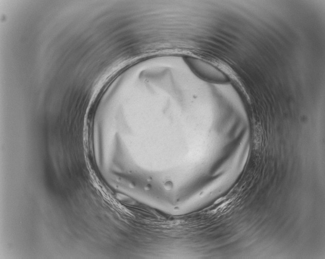 X0000054451096200508270032