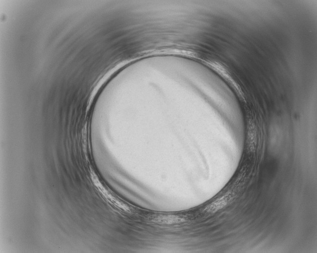 X0000054451100200508270032
