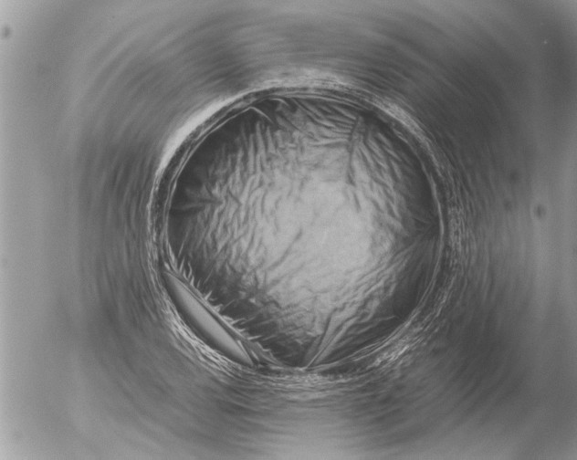 X0000054451120200508270032