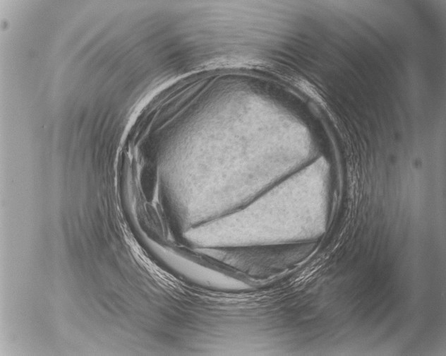 X0000054451124200508270032