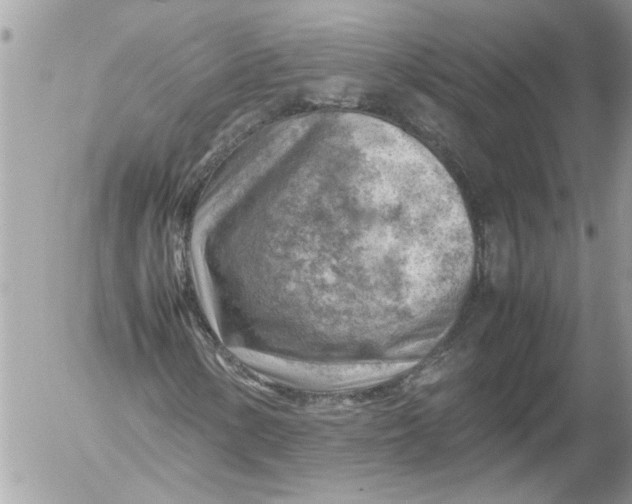 X0000054451154200508270031