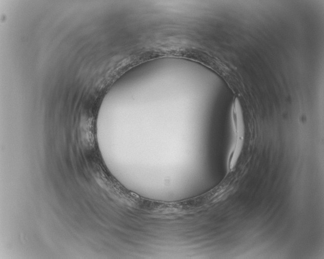 X0000054451156200508270031