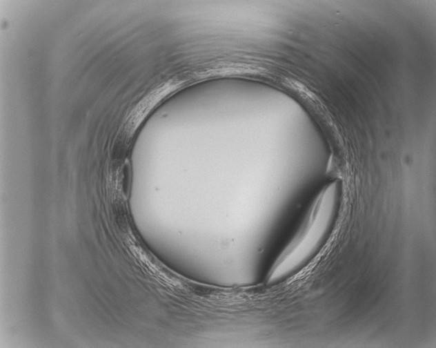 X0000054451185200508270031