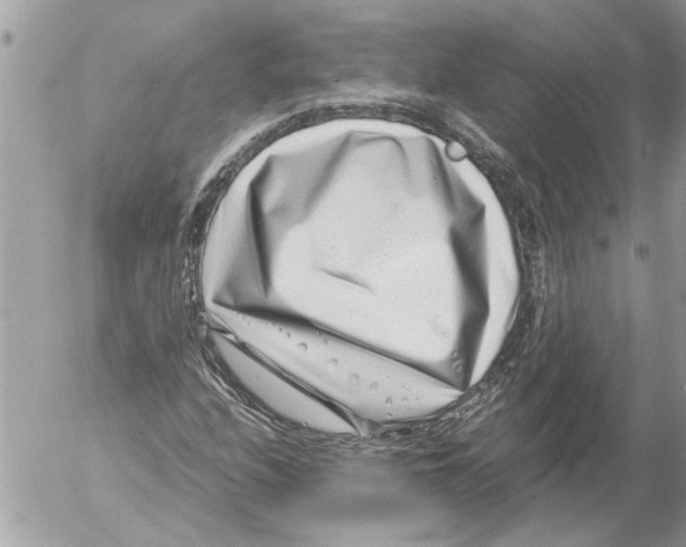 X0000054451208200508270030