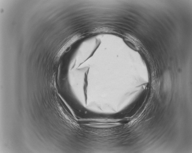 X0000054451241200508270030