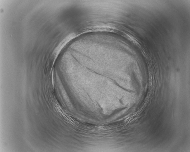 X0000054451275200508270029