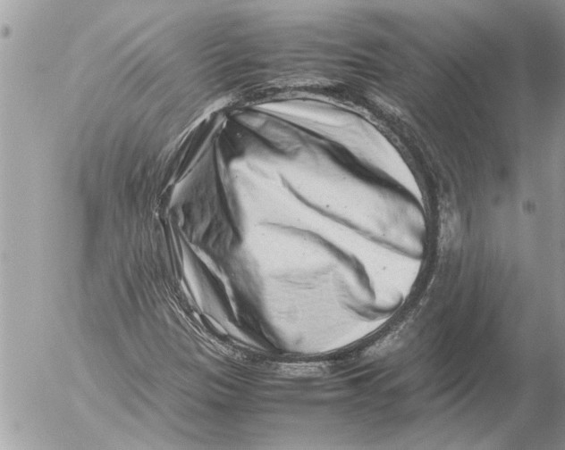 X0000054451305200508270028
