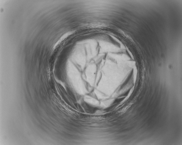 X0000054451306200508270028