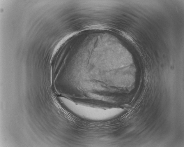 X0000054451323200508270029