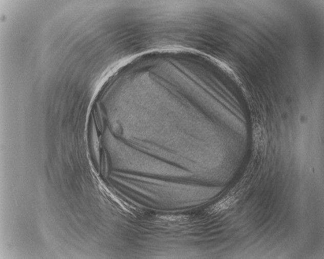 X0000054451327200508270029
