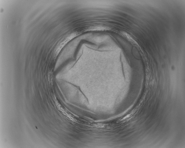 X0000054451329200508270029