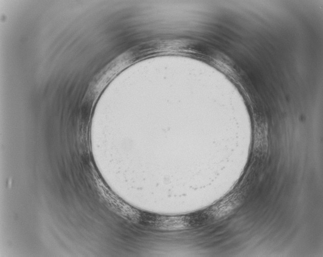 X0000054451338200508270029