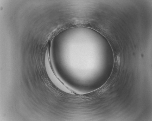 X0000054451348200508270028