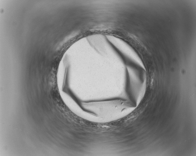 X0000054451350200508270028