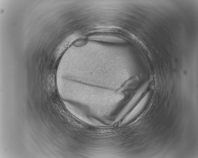 X0000054451362200508270028